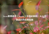 Steam赛博酒馆（Dorothy）价格全解析，从入门到进阶的花费指南