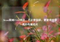 Steam商城CS:GO饰品，不止是皮肤，更是竞技世界的专属名片
