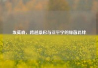 埃莫森，跨越桑巴与亚平宁的绿茵羁绊