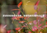逆战经验加成全攻略，快速升级实用办法汇总