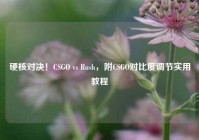 硬核对决！CSGO vs Rush，附CSGO对比度调节实用教程