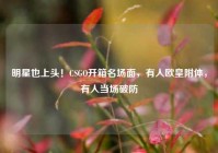 明星也上头！CSGO开箱名场面，有人欧皇附体，有人当场破防