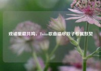 戏谑里藏共鸣，Twins歌曲唱尽双子专属默契