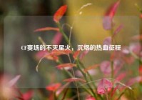 CF赛场的不灭星火，沉煜的热血征程