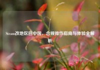 Steam改地区回中国，合规操作指南与体验全解析
