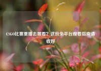 CSGO比赛重播去哪看？这份全平台观看指南请收好