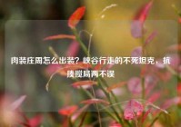 肉装庄周怎么出装？峡谷行走的不死坦克，抗揍搅局两不误