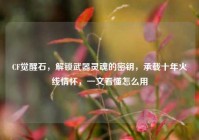 CF觉醒石，解锁武器灵魂的密钥，承载十年火线情怀，一文看懂怎么用