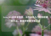 Steam AUG皮肤全图鉴，从性价比入门款到收藏级珍品，解锁步枪美学新玩法