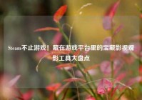 Steam不止游戏！藏在游戏平台里的宝藏影视观影工具大盘点