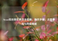 Steam钱包地区更改全指南，操作步骤、注意事项与风险规避