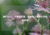 国产Steam，不是模仿者，而是本土游戏生态的造梦者