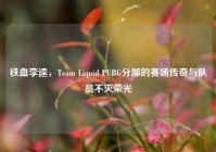 铁血李逵，Team Liquid PUBG分部的赛场传奇与队员不灭荣光