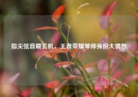 指尖弦音藏玄机，王者荣耀琴师身份大猜想