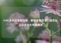 PUBG大小店落地抉择，解锁生存哲学，窥见玩法百态与大号商博弈