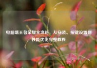 电脑端王者荣耀全攻略，从安装、按键设置到性能优化完整教程