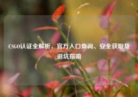 CSGO认证全解析，官方入口查询、安全获取及避坑指南
