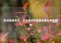 逆战陨星碎片，战场银河的青春勋章与刷取指南
