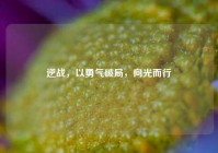 逆战，以勇气破局，向光而行