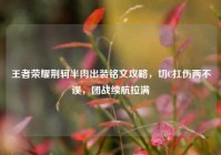 王者荣耀荆轲半肉出装铭文攻略，切C扛伤两不误，团战续航拉满