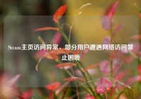 Steam主页访问异常，部分用户遭遇网络访问禁止困境