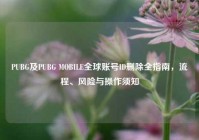 PUBG及PUBG MOBILE全球账号ID删除全指南，流程、风险与操作须知