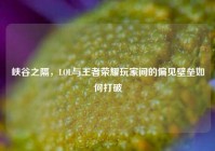 峡谷之隔，LOL与王者荣耀玩家间的偏见壁垒如何打破