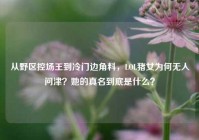 从野区控场王到冷门边角料，LOL猪女为何无人问津？她的真名到底是什么？