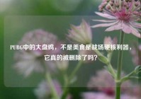 PUBG中的大盘鸡，不是美食是战场硬核利器，它真的被删除了吗？