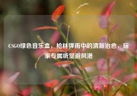CSGO绿色音乐盒，枪林弹雨中的清新治愈，玩家专属听觉避风港