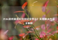 PUBG游戏崩溃后如何安全停止？实用解决方法全解析