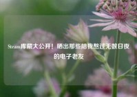 Steam库藏大公开！晒出那些陪我熬过无数日夜的电子老友