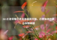 2024王者荣耀忍者英雄最新攻略，忍界强者的峡谷制霸秘籍