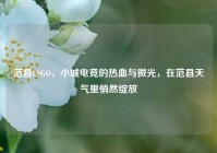 范县CSGO，小城电竞的热血与微光，在范县天气里悄然绽放