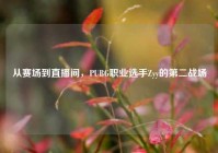 从赛场到直播间，PUBG职业选手Zyy的第二战场