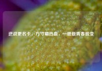 逆战更名卡，方寸藏热血，一纸载青春蜕变