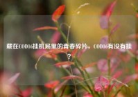 藏在COD16挂机局里的青春碎片，COD16有没有挂？