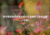 和平精英黑色徽章获取方式全解析（含相关图片说明）