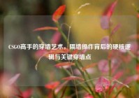 CSGO高手的穿墙艺术，隔墙操作背后的硬核逻辑与关键穿墙点