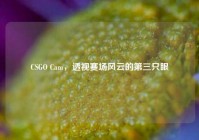 CSGO Cam，透视赛场风云的第三只眼