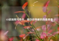CF战场斑马奇兵，黑白战甲里的热血青春
