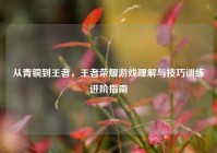 从青铜到王者，王者荣耀游戏理解与技巧训练进阶指南
