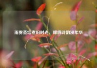 雨雾蒸烟煮旧时光，朦胧诗韵浸年华