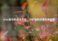 PUBG账号防盗全攻略，守护你的战场专属领地