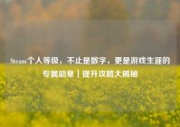 Steam个人等级，不止是数字，更是游戏生涯的专属勋章｜提升攻略大揭秘