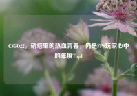 CSGO22，硝烟里的热血青春，仍是FPS玩家心中的年度Top1