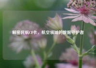 解密民航CF卡，航空领域的数据守护者