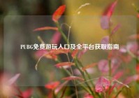 PUBG免费游玩入口及全平台获取指南