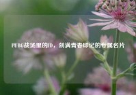 PUBG战场里的ID，刻满青春印记的专属名片