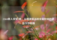 CSGO单人攻坚2楼，从精准摸点到全局控场的进阶生存指南